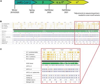 Overcoming variant mutation-related impacts on viral sequencing and detection methodologies